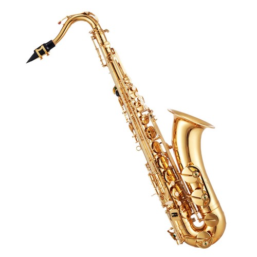 Student beginner tenor - student,